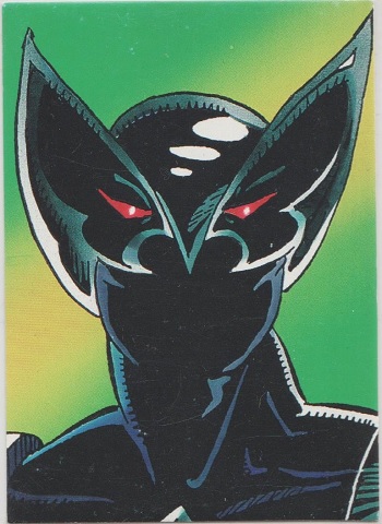 ShadowHawk Collector Card #07